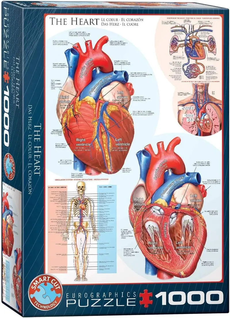 Eurographics The Heart 1000 Piece Jigsaw Puzzle for Ages 12 and Up