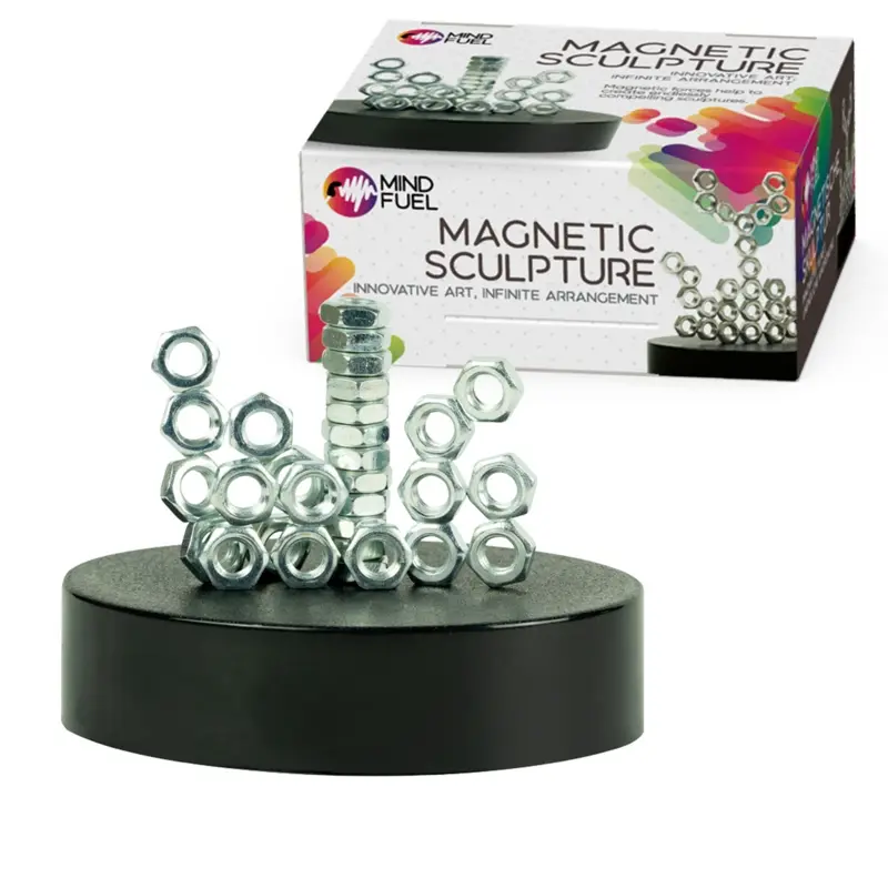 The Magnetic Sculpture Infinite Arrangement STEM Desk Accessory
